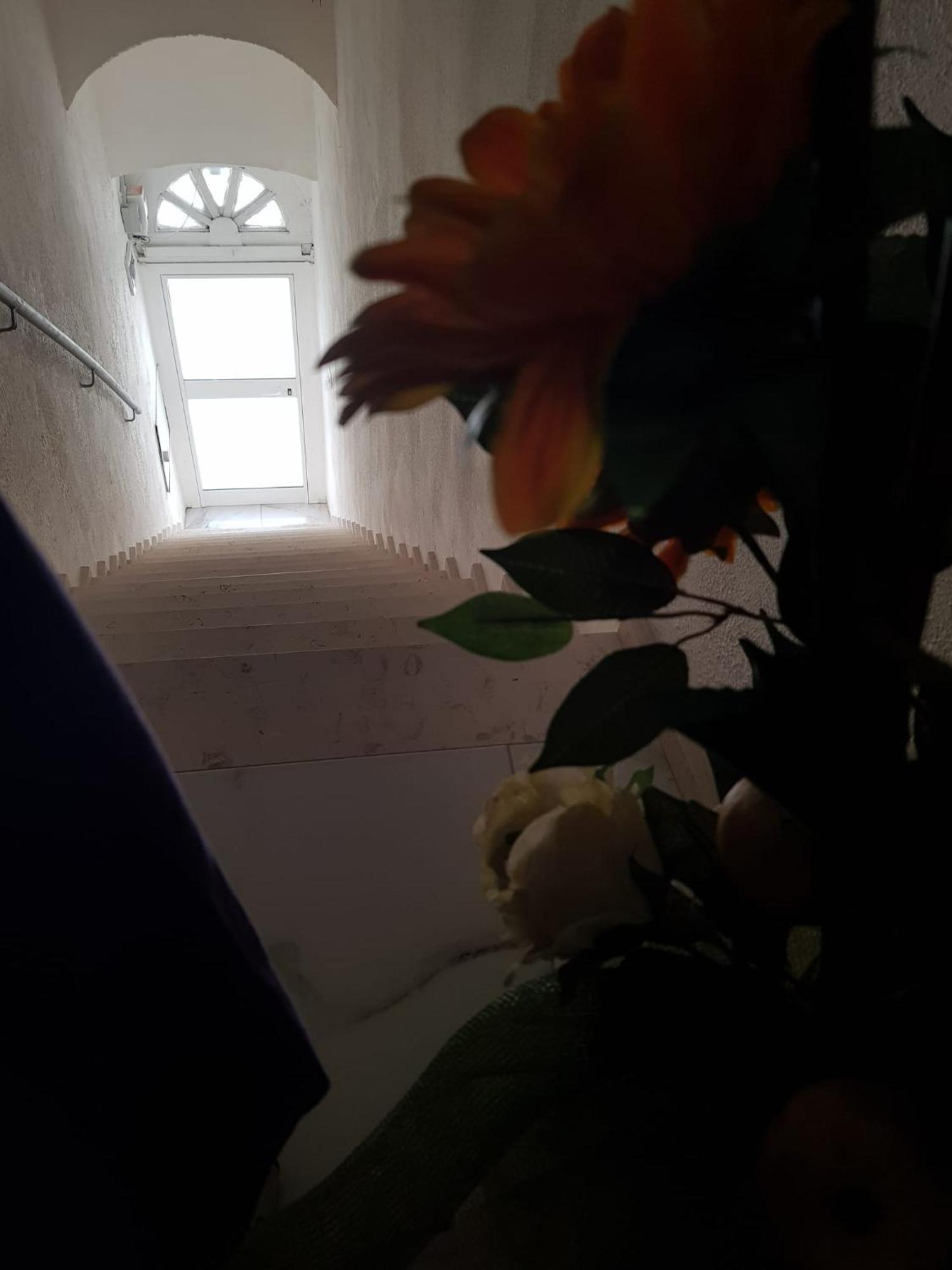 Di Fronzo Guest House T 特里贾诺 外观 照片